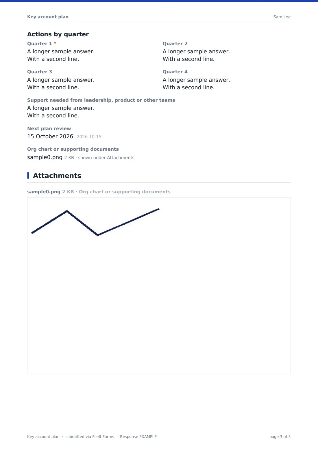 Key account plan — example response PDF, page 3 of 3