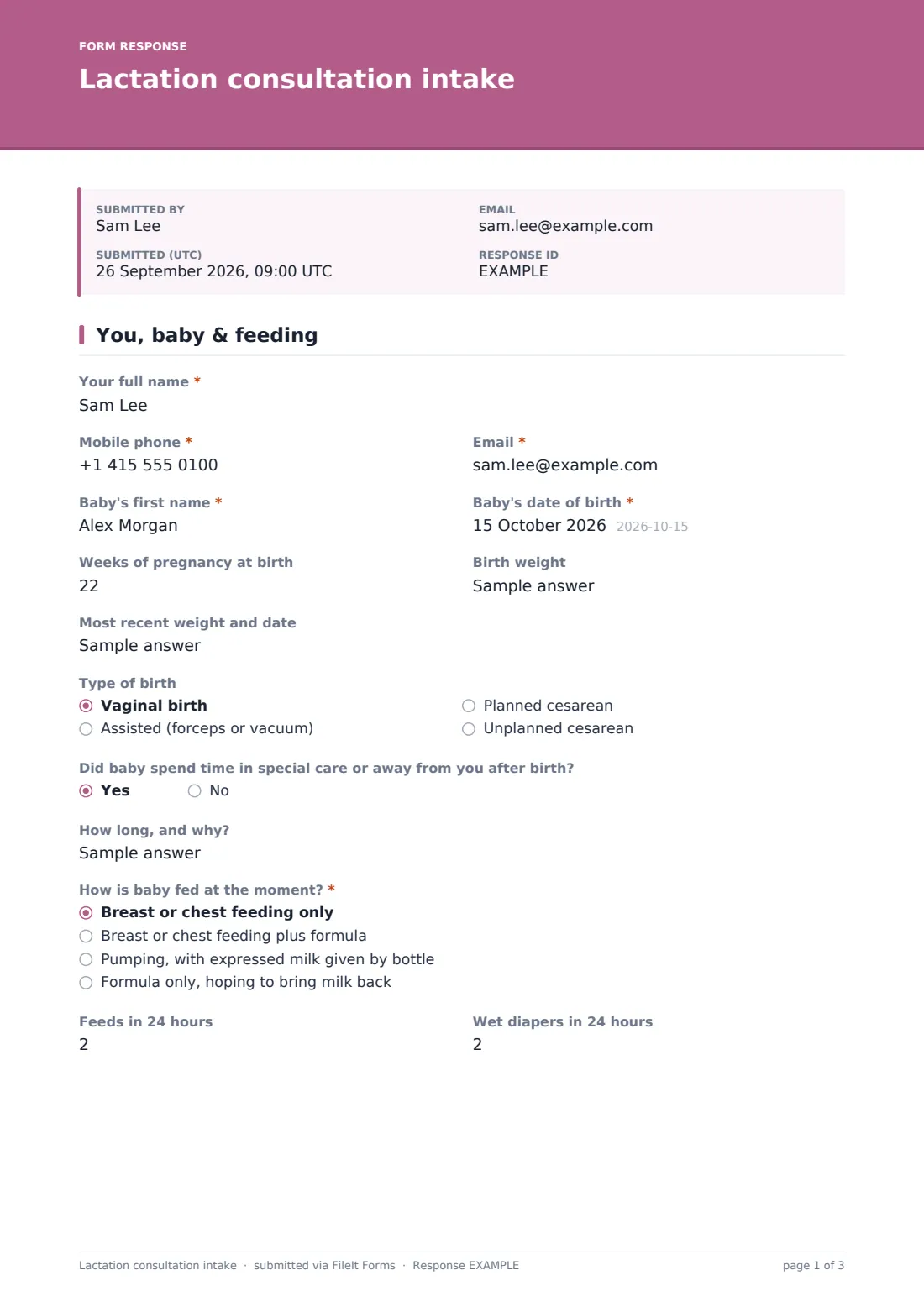 Lactation consultation intake — example response PDF, page 1 of 3