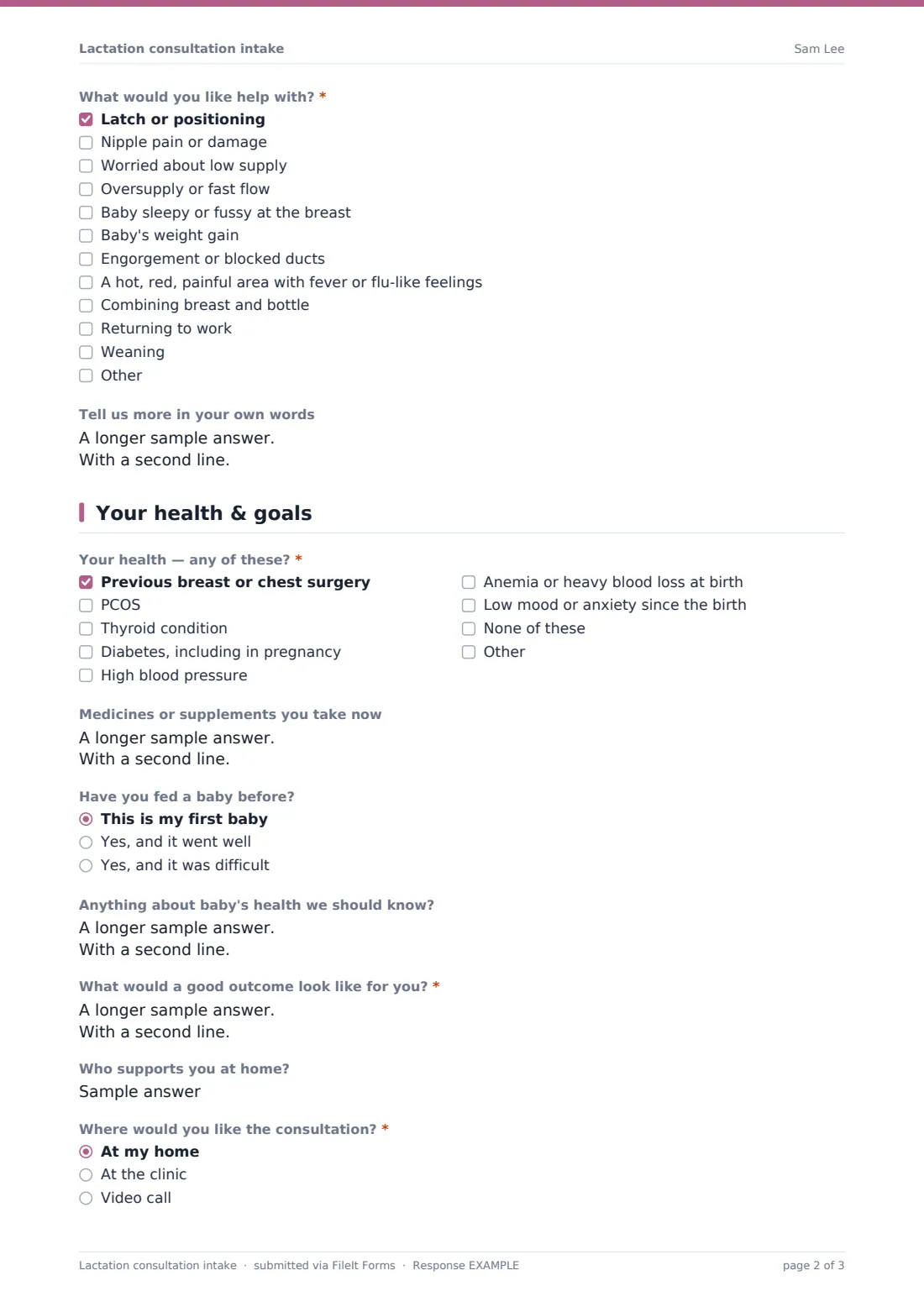 Lactation consultation intake — example response PDF, page 2 of 3