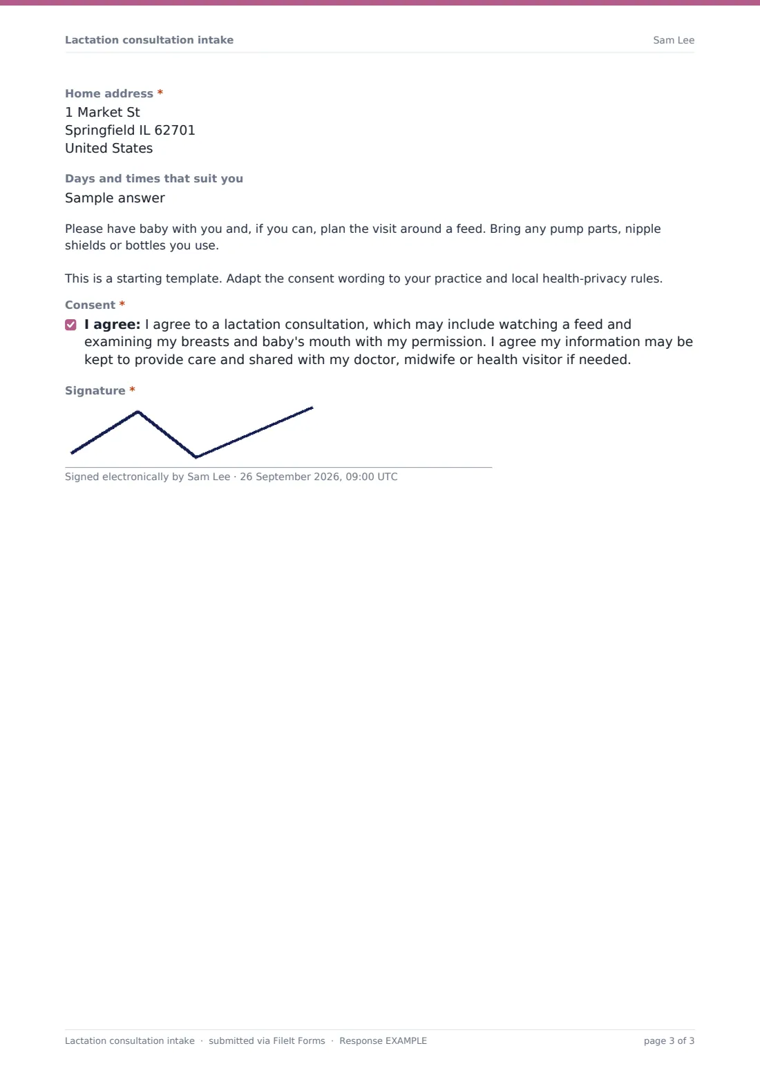 Lactation consultation intake — example response PDF, page 3 of 3