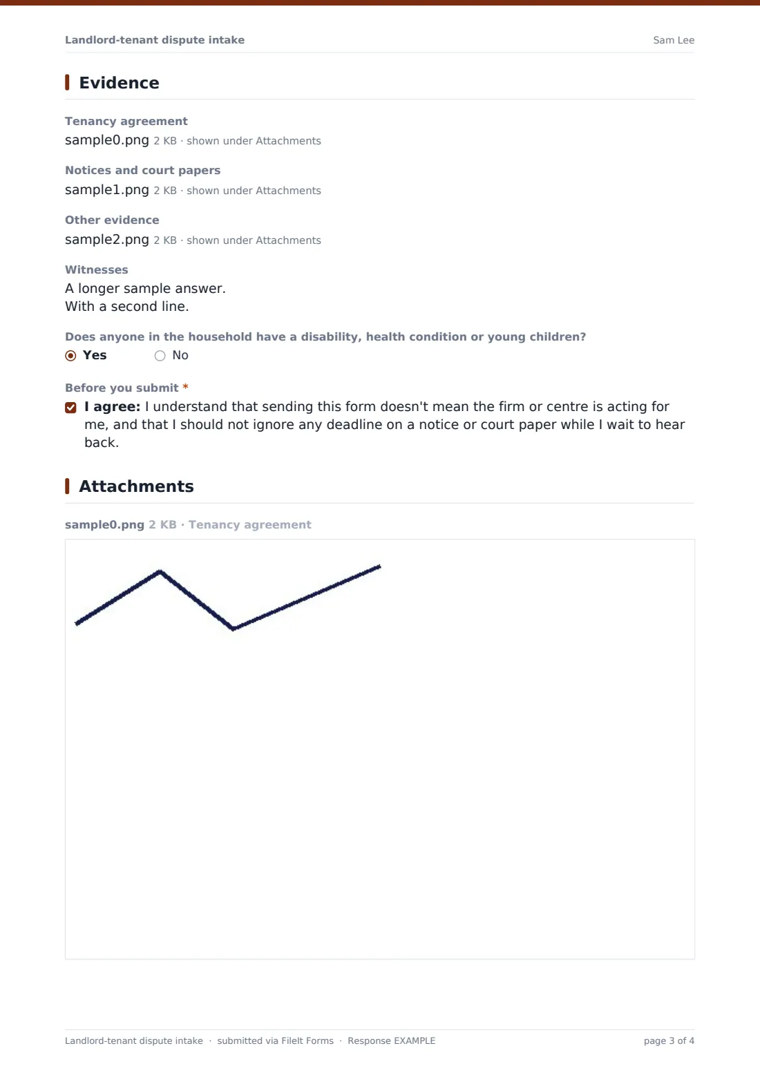 Landlord-tenant dispute intake — example response PDF, page 3 of 4