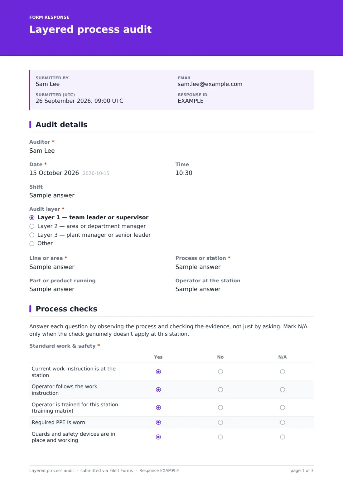 Layered process audit — example response PDF, page 1 of 3