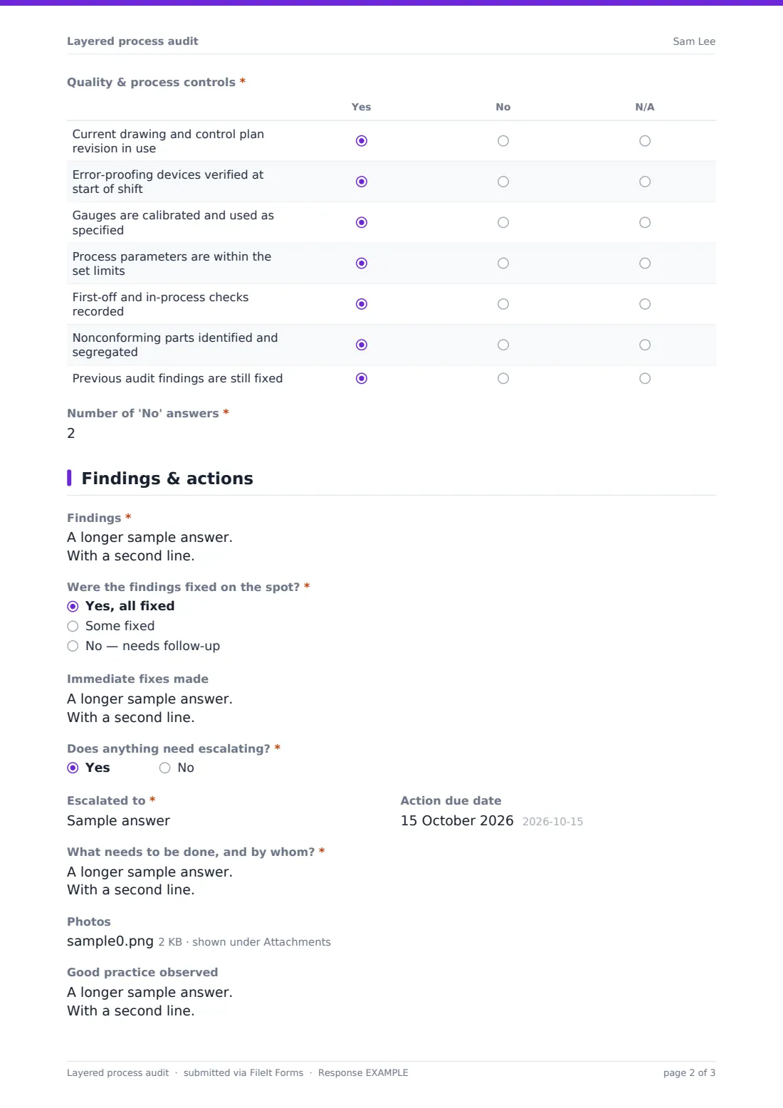 Layered process audit — example response PDF, page 2 of 3