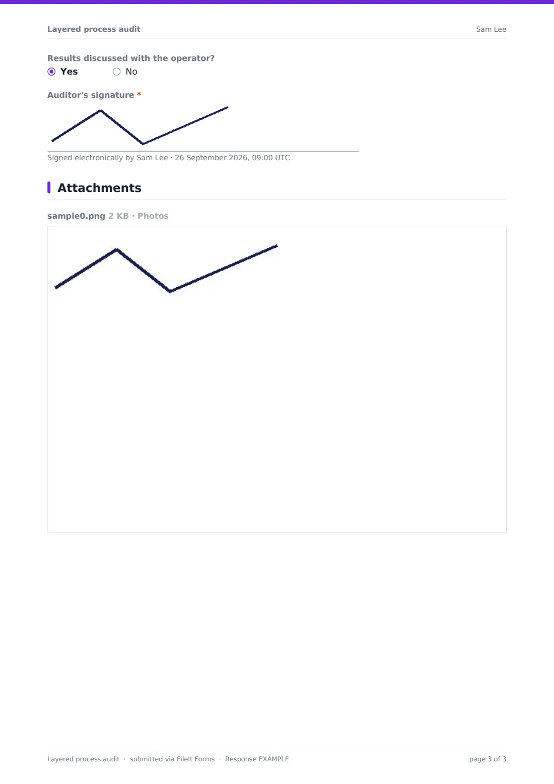 Layered process audit — example response PDF, page 3 of 3