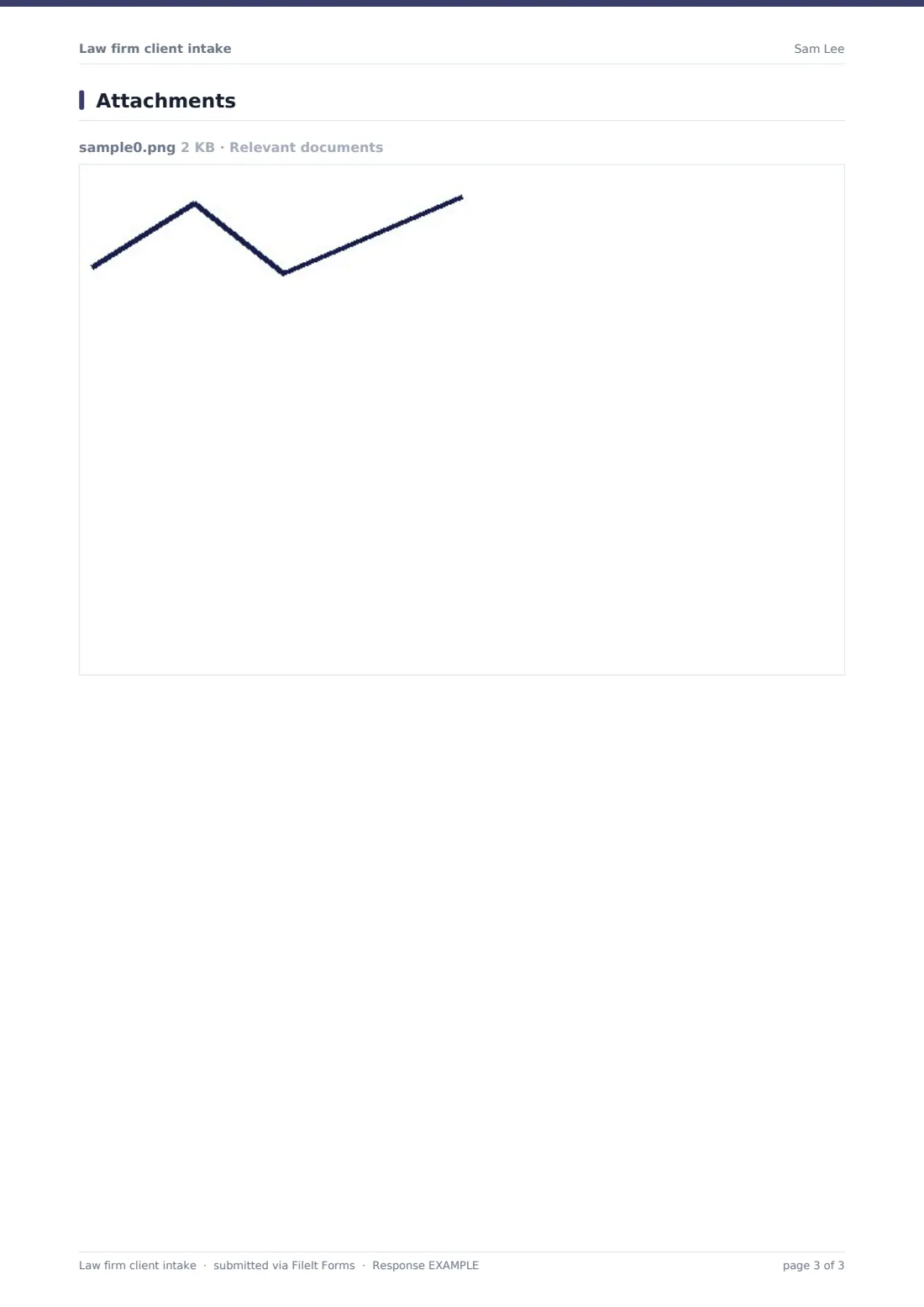 Law firm client intake — example response PDF, page 3 of 3