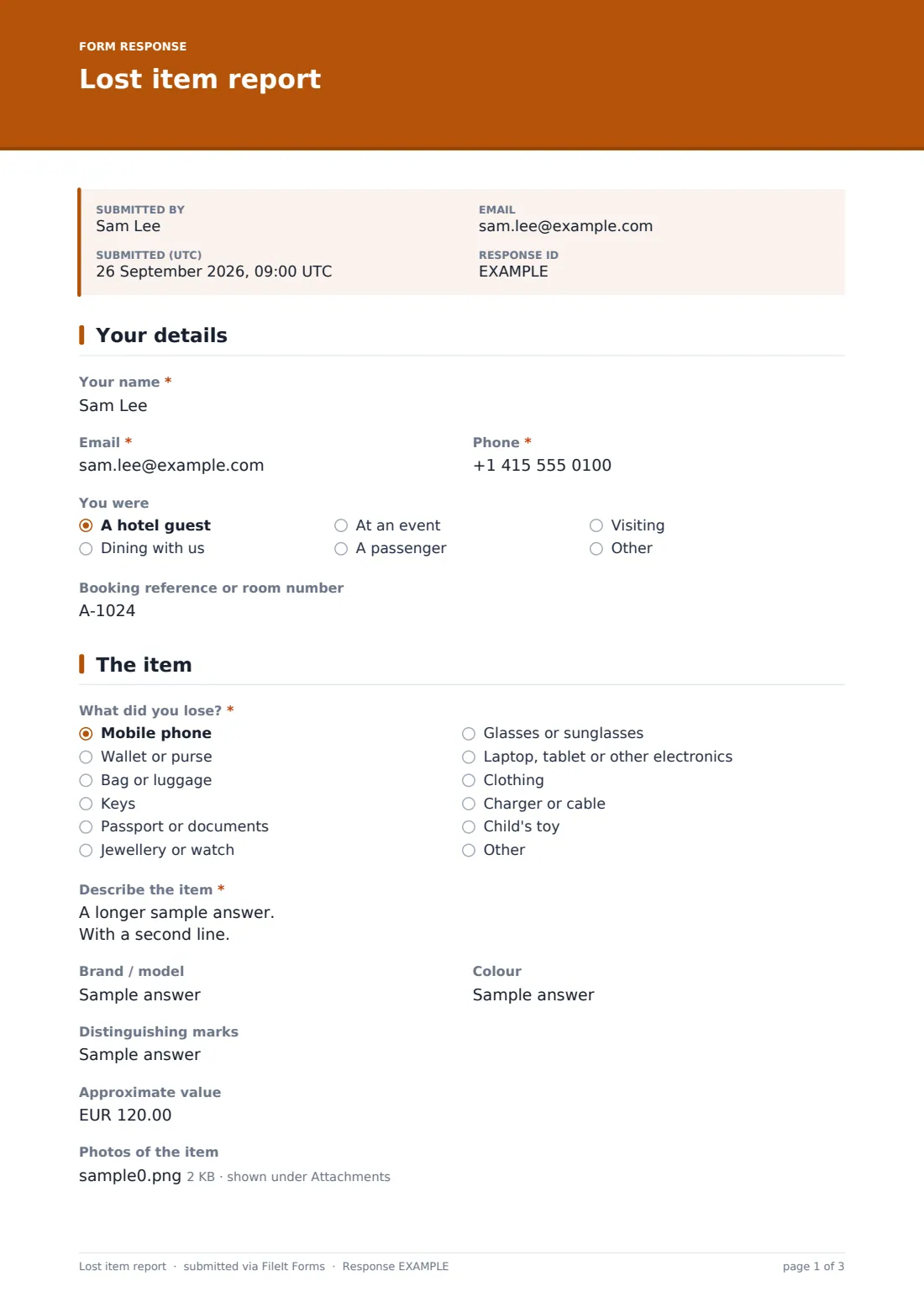 Lost item report — example response PDF, page 1 of 3