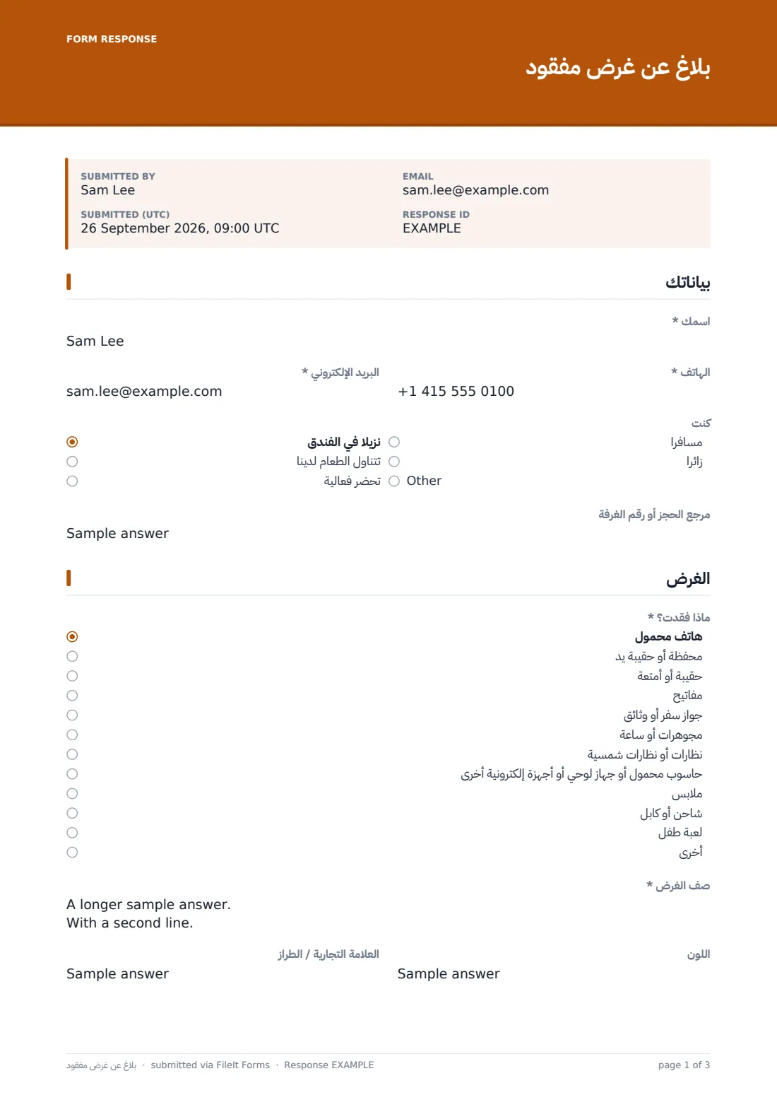 بلاغ عن غرض مفقود — ملف PDF لرد نموذجي، الصفحة 1 من 3