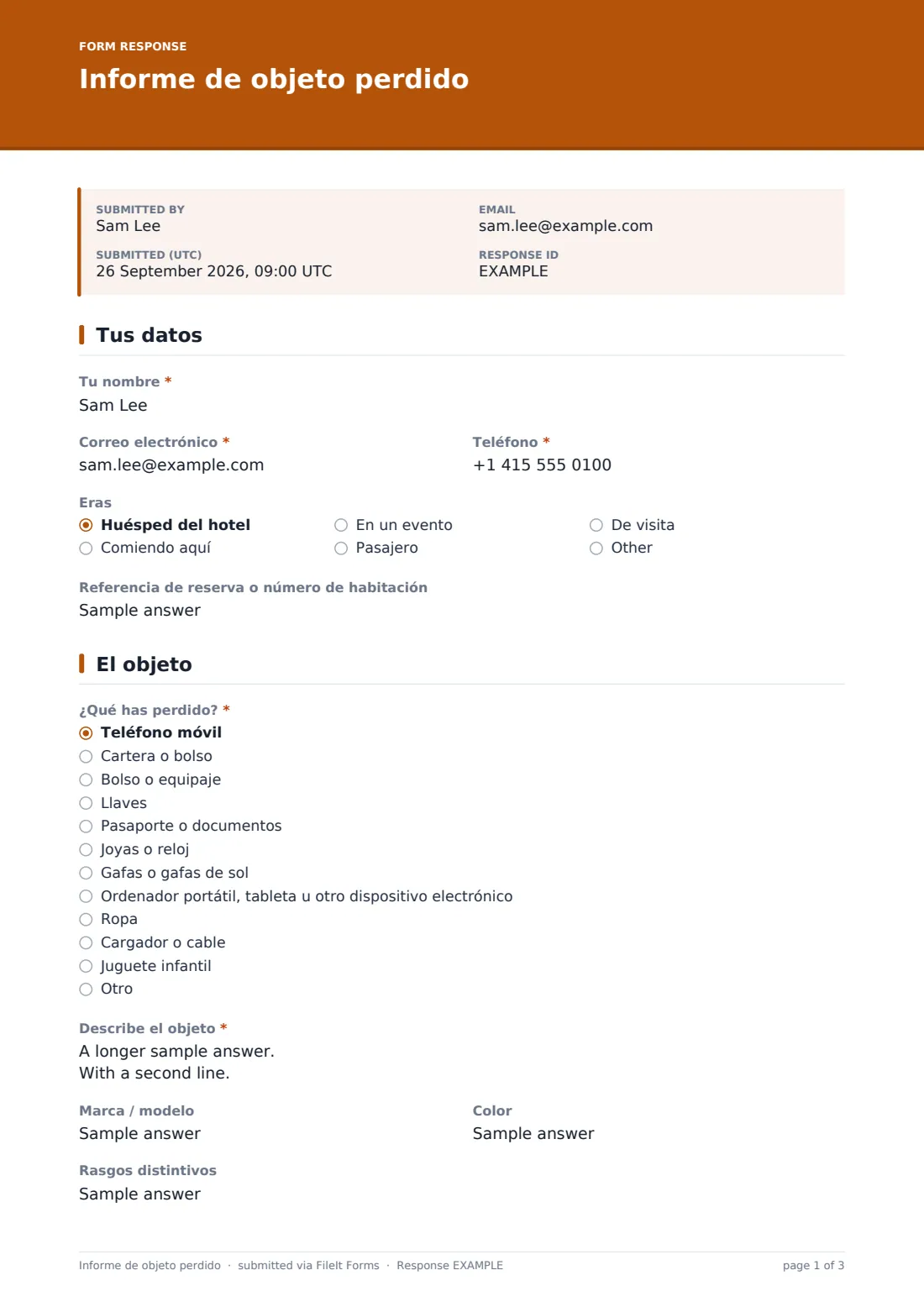 Informe de objeto perdido — PDF de respuesta de ejemplo, página 1 de 3
