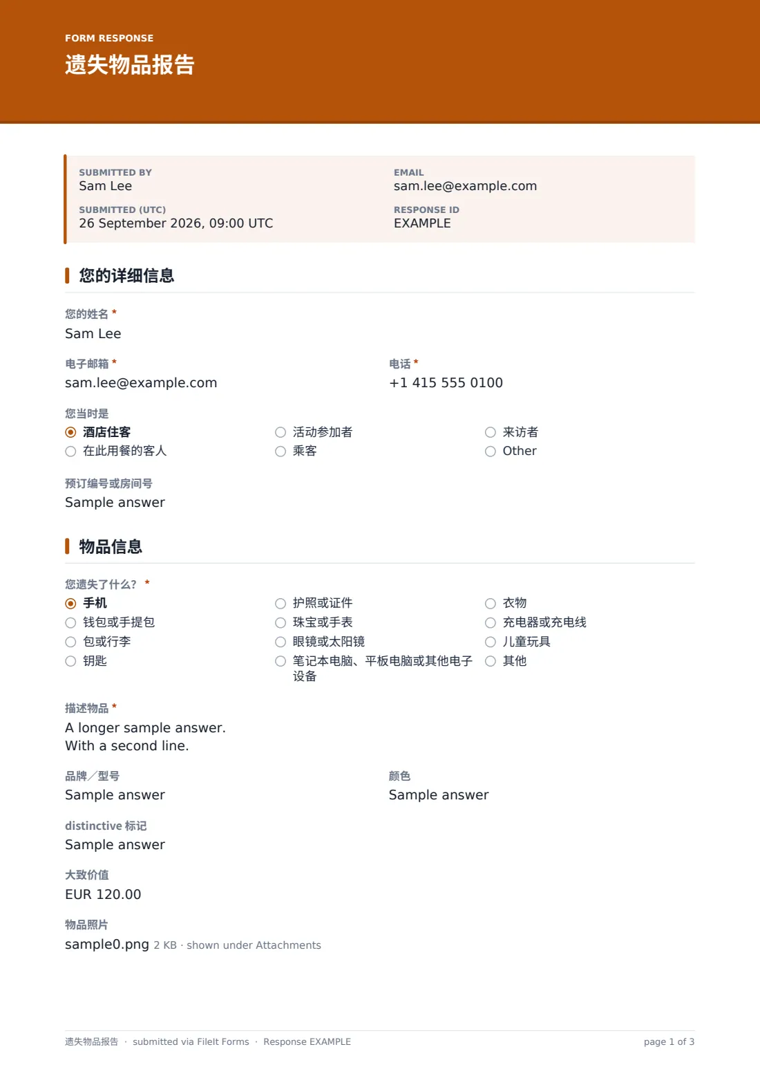 遗失物品报告 — 示例回复 PDF，第 1 页，共 3 页