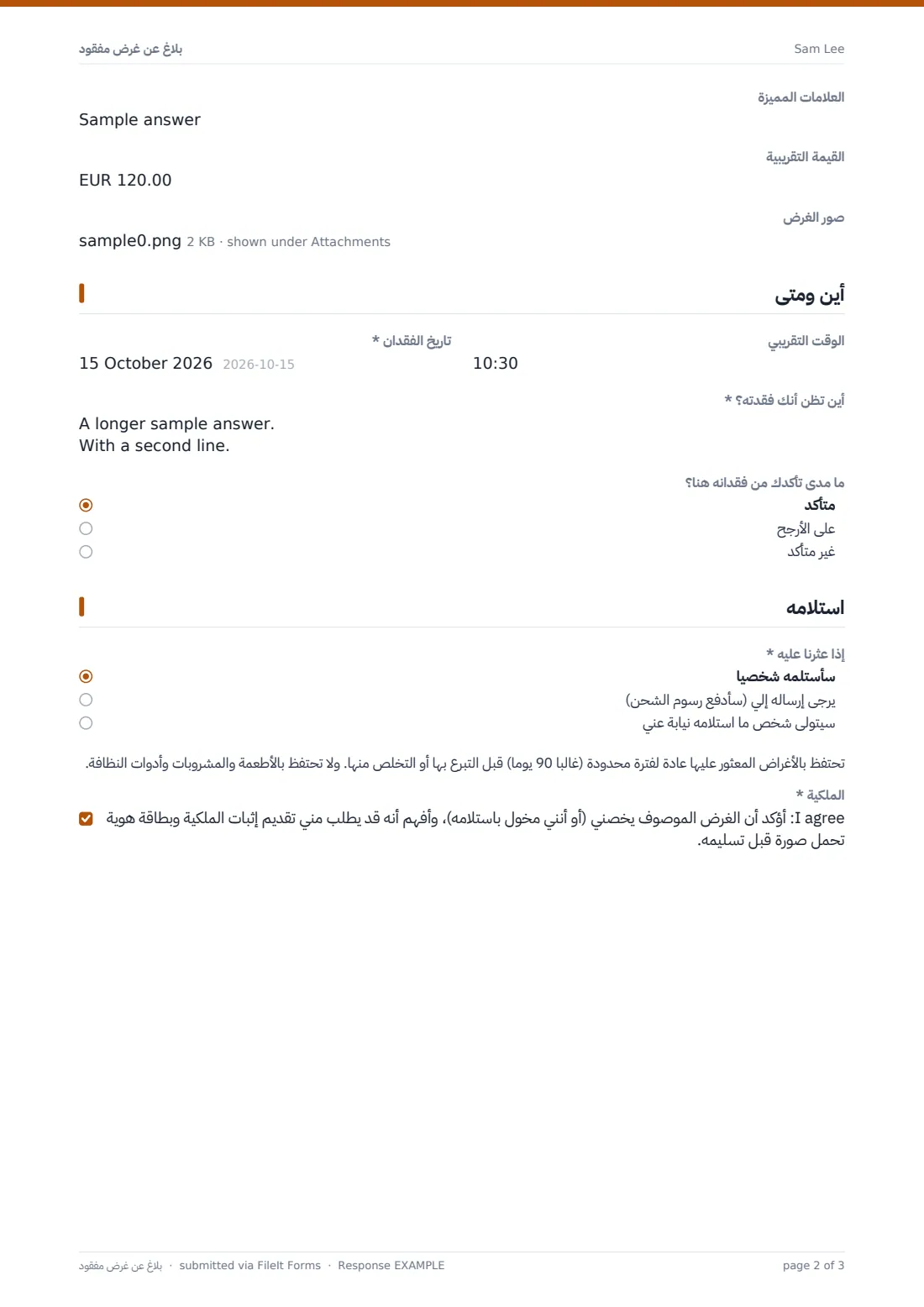 بلاغ عن غرض مفقود — ملف PDF لرد نموذجي، الصفحة 2 من 3