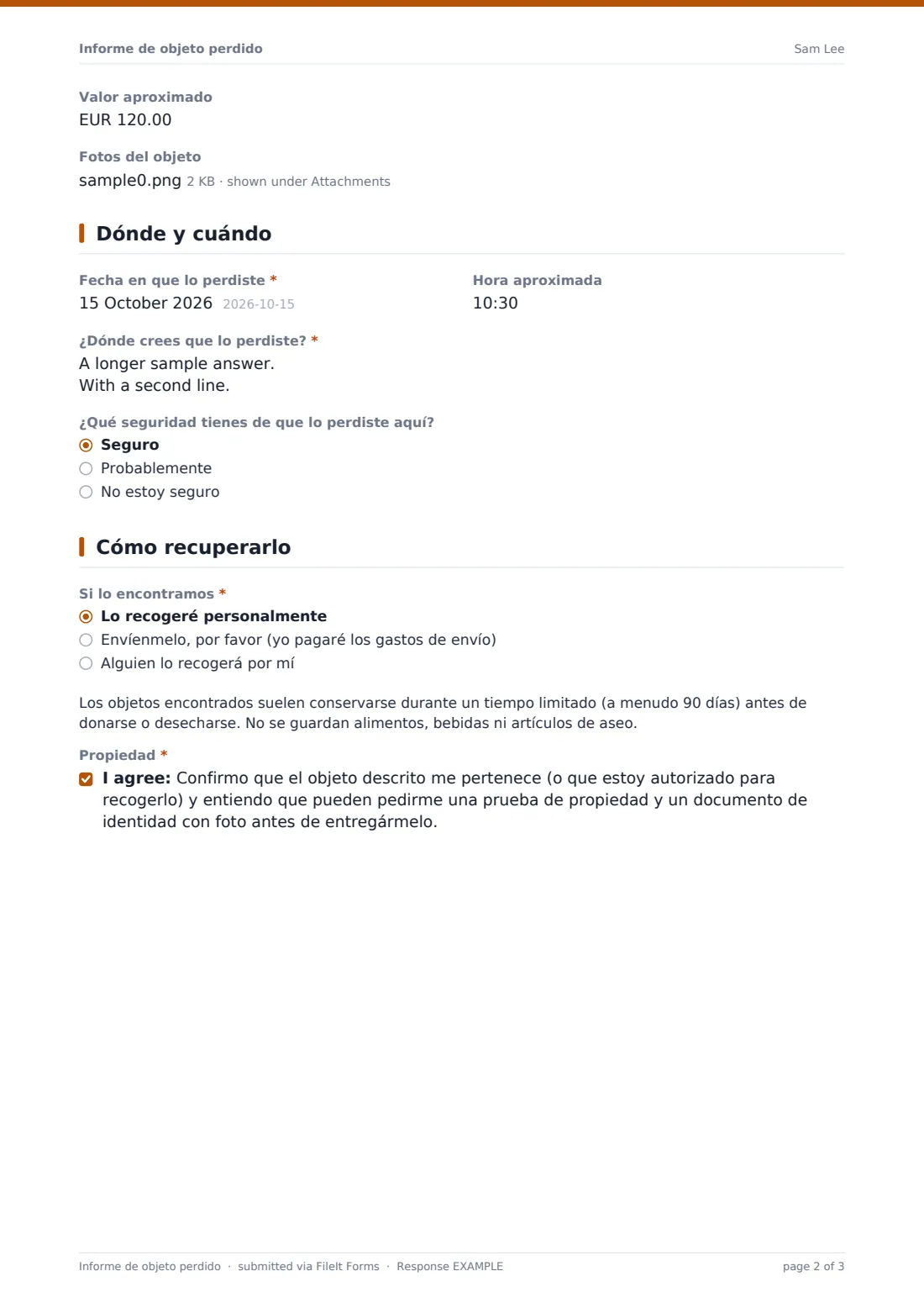Informe de objeto perdido — PDF de respuesta de ejemplo, página 2 de 3