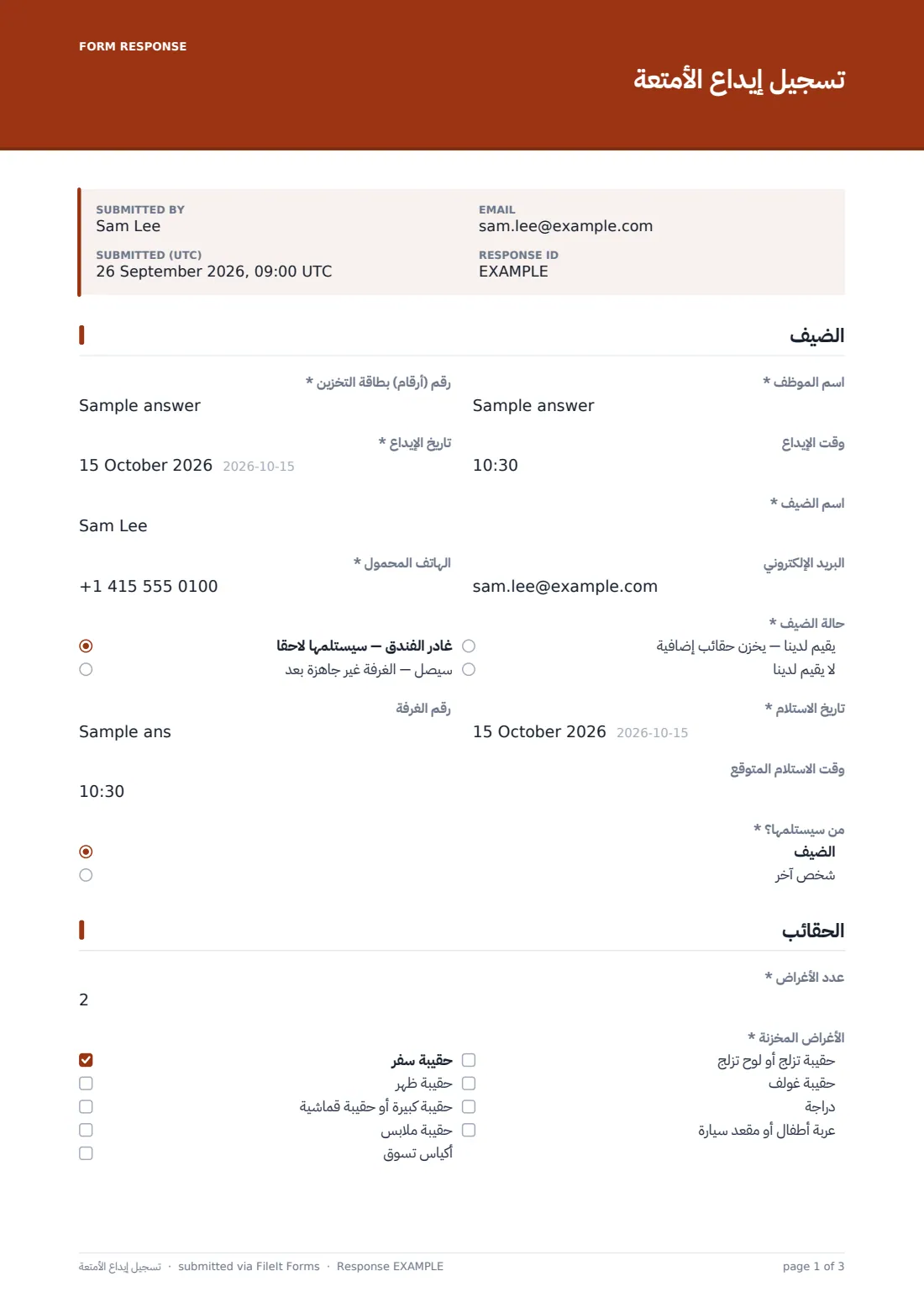 تسجيل إيداع الأمتعة — ملف PDF لرد نموذجي، الصفحة 1 من 3