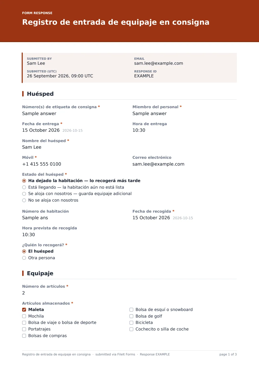 Registro de entrada de equipaje en consigna — PDF de respuesta de ejemplo, página 1 de 3