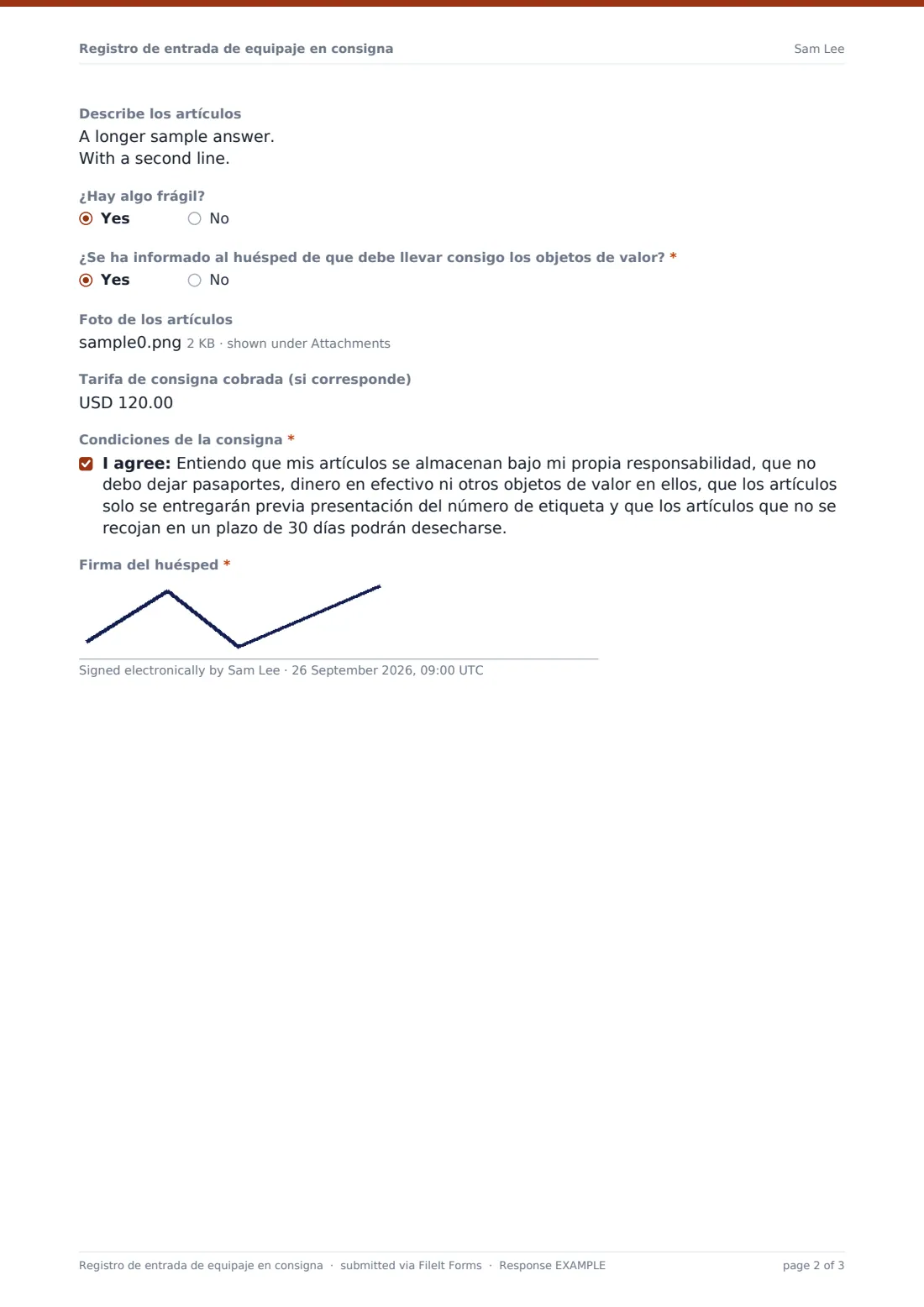Registro de entrada de equipaje en consigna — PDF de respuesta de ejemplo, página 2 de 3