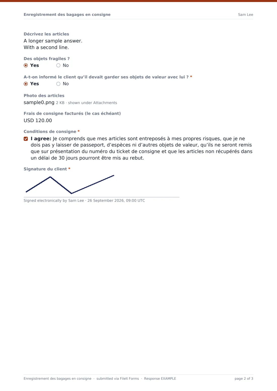 Enregistrement des bagages en consigne — exemple de réponse au format PDF, page 2 sur 3