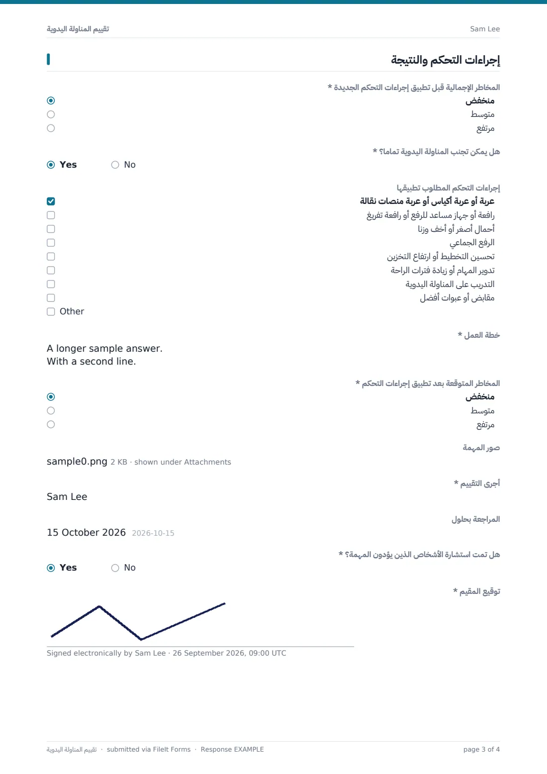 تقييم المناولة اليدوية — ملف PDF لرد نموذجي، الصفحة 3 من 4