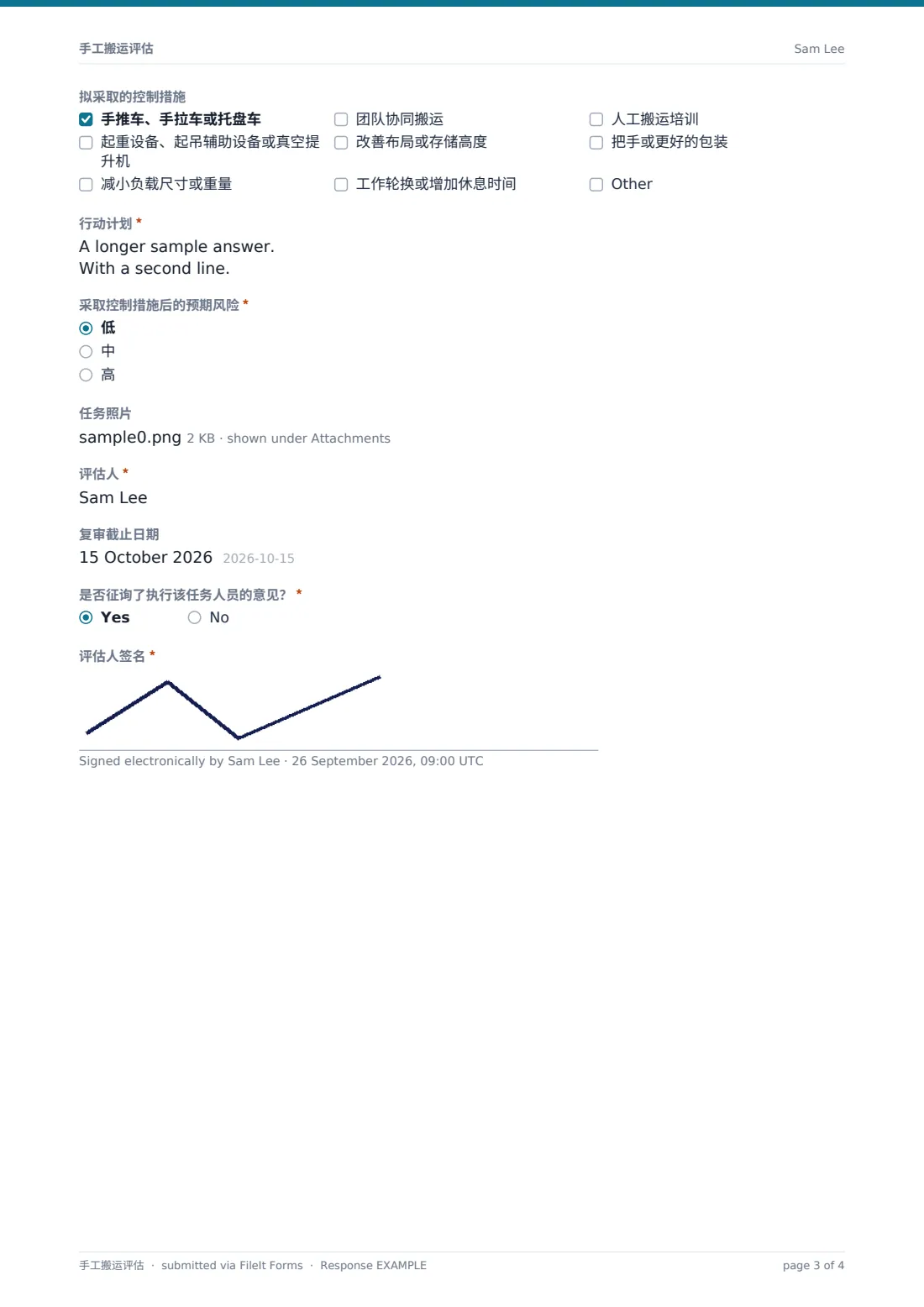 手工搬运评估 — 示例回复 PDF，第 3 页，共 4 页