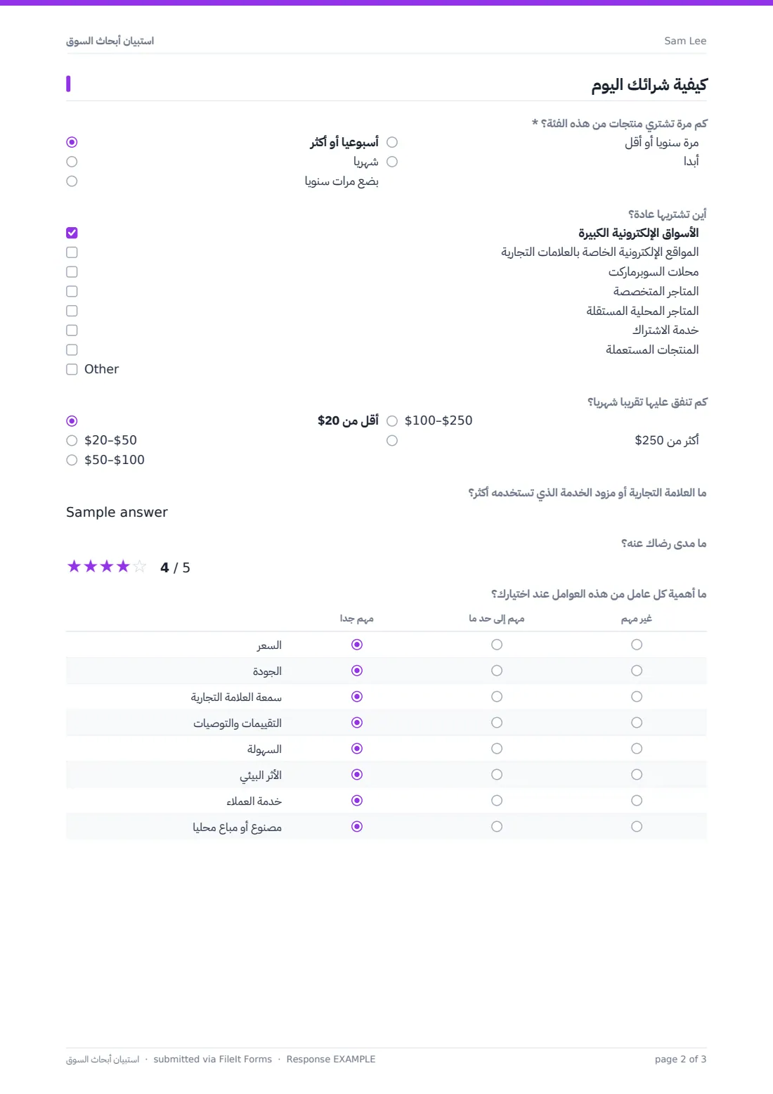 استبيان أبحاث السوق — ملف PDF لرد نموذجي، الصفحة 2 من 3