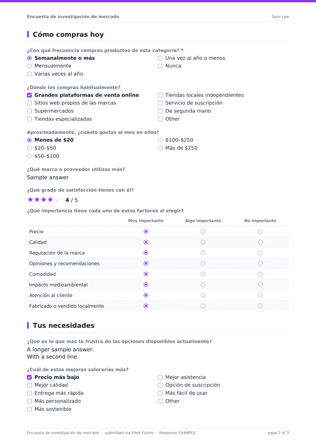 Encuesta de investigación de mercado — PDF de respuesta de ejemplo, página 2 de 3