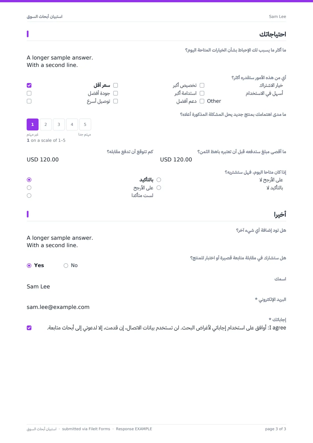 استبيان أبحاث السوق — ملف PDF لرد نموذجي، الصفحة 3 من 3