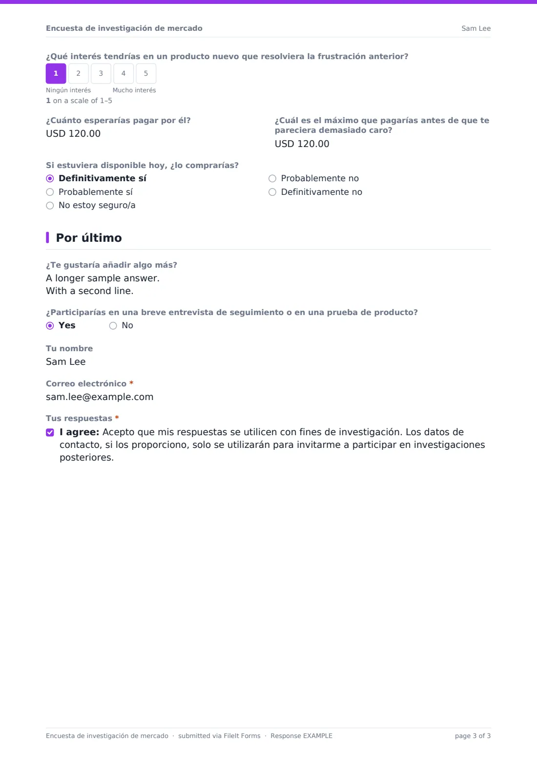 Encuesta de investigación de mercado — PDF de respuesta de ejemplo, página 3 de 3