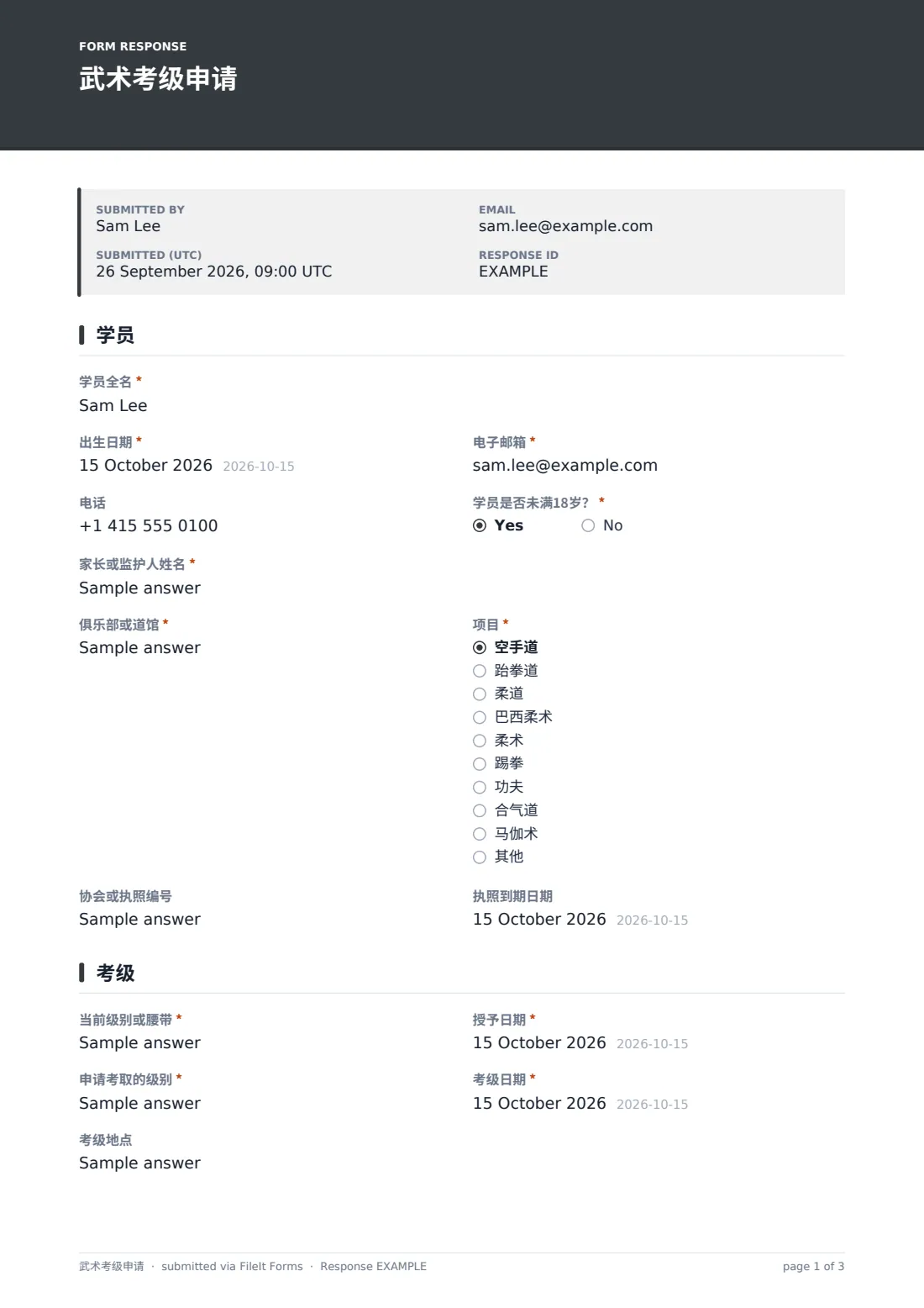 武术考级申请 — 示例回复 PDF，第 1 页，共 3 页