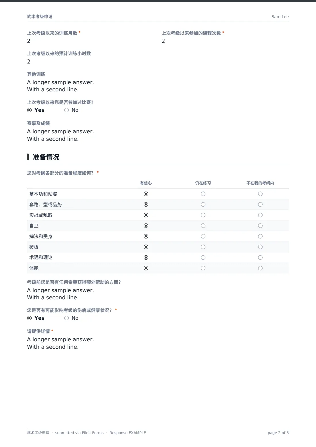 武术考级申请 — 示例回复 PDF，第 2 页，共 3 页