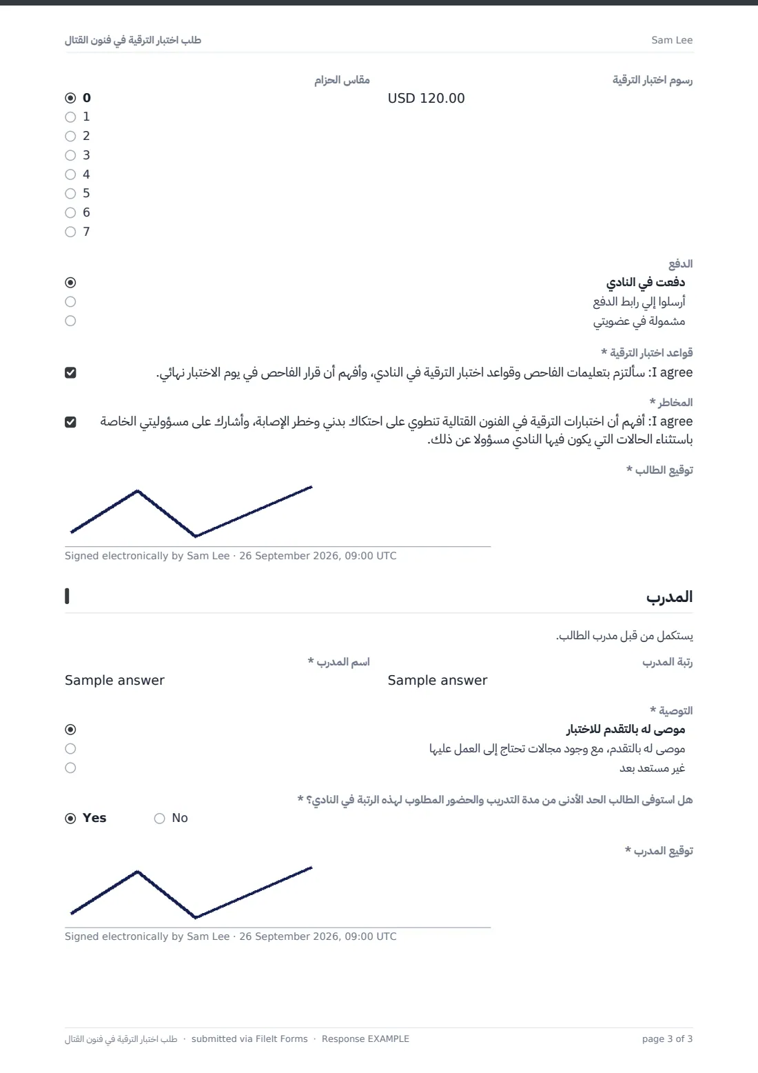طلب اختبار الترقية في فنون القتال — ملف PDF لرد نموذجي، الصفحة 3 من 3