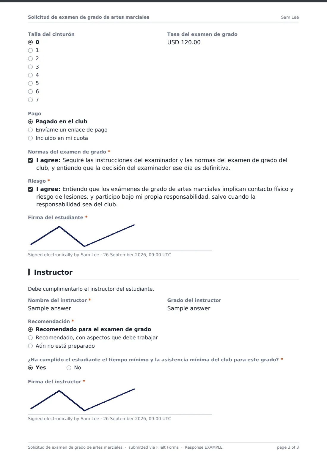 Solicitud de examen de grado de artes marciales — PDF de respuesta de ejemplo, página 3 de 3