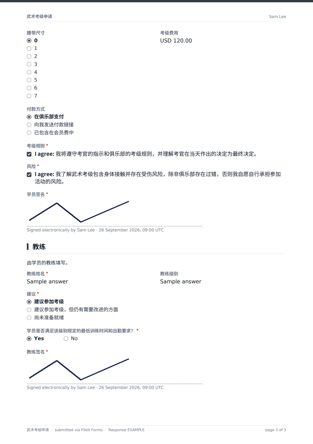 武术考级申请 — 示例回复 PDF，第 3 页，共 3 页