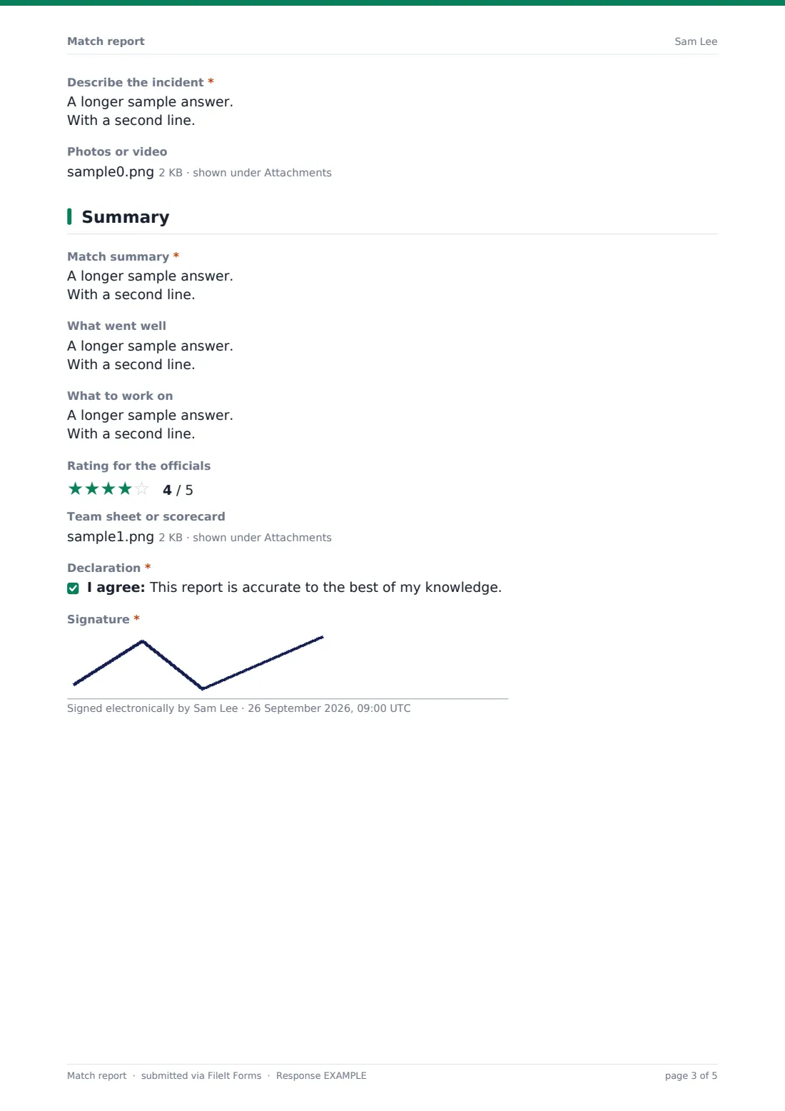 Match report — example response PDF, page 3 of 5