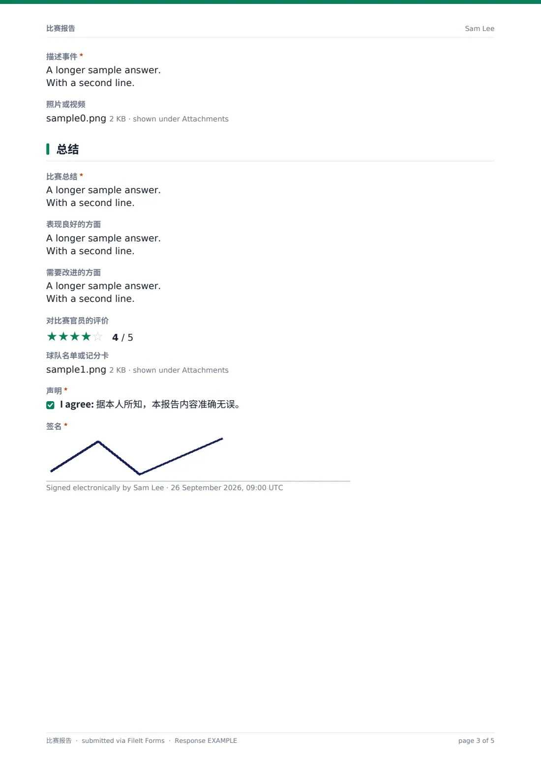 比赛报告 — 示例回复 PDF，第 3 页，共 5 页