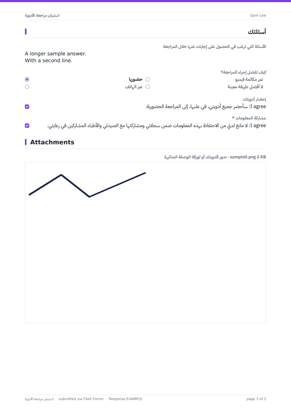 استبيان مراجعة الأدوية — ملف PDF لرد نموذجي، الصفحة 3 من 3