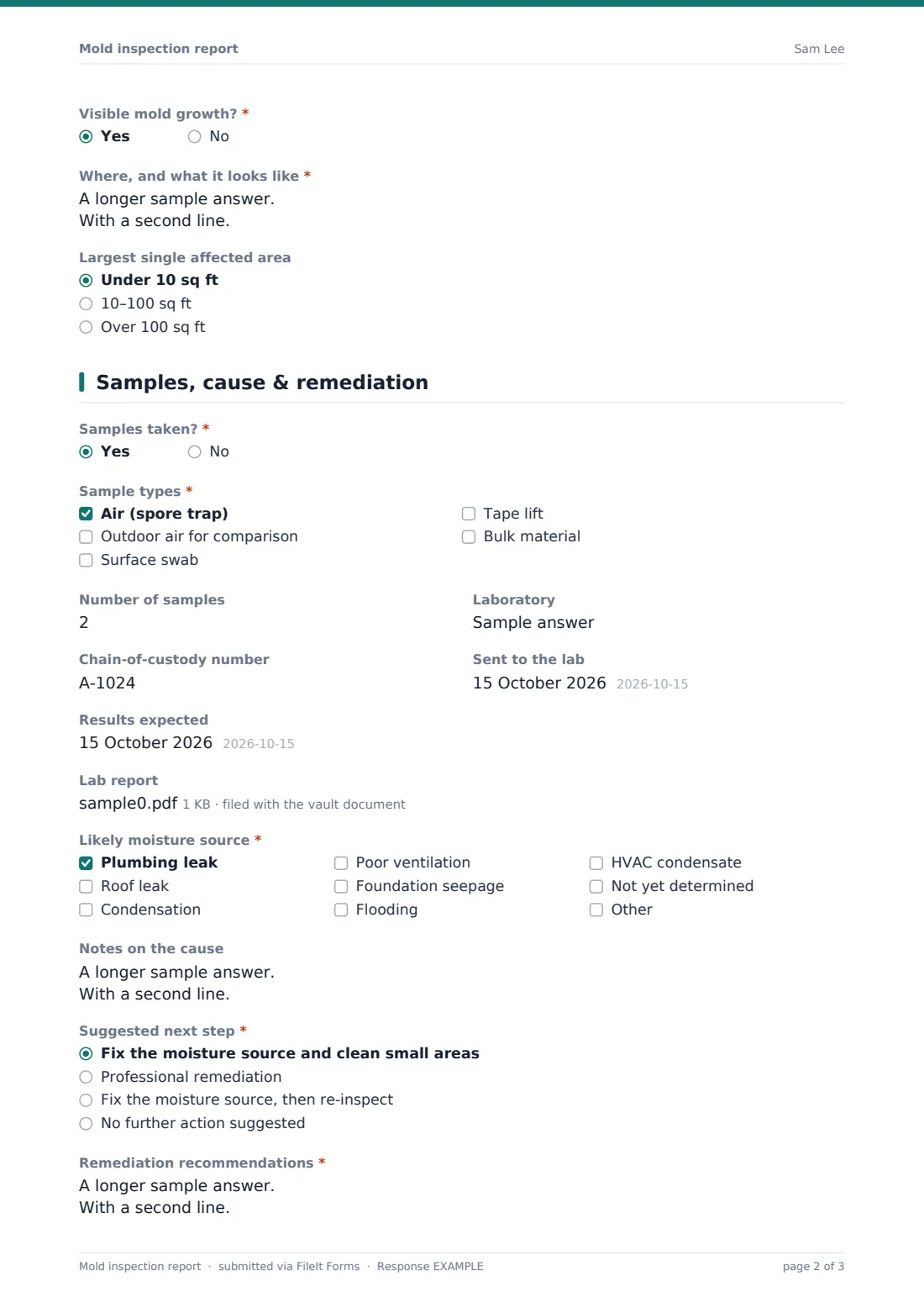 Mold inspection report — example response PDF, page 2 of 3