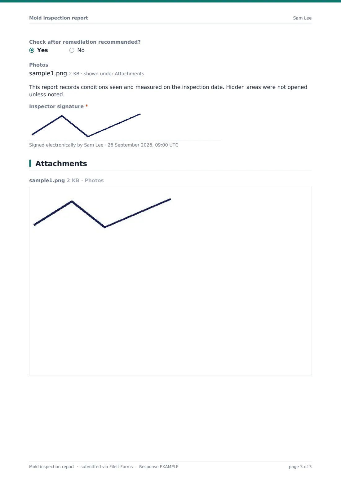 Mold inspection report — example response PDF, page 3 of 3