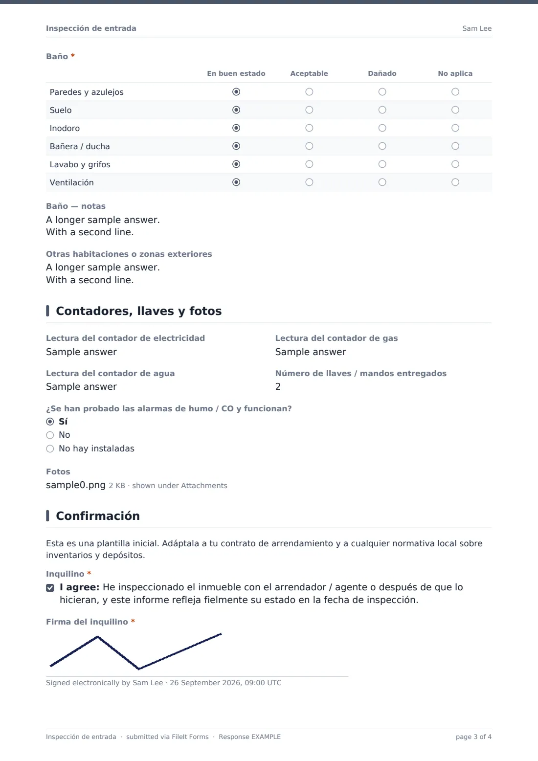 Inspección de entrada — PDF de respuesta de ejemplo, página 3 de 4