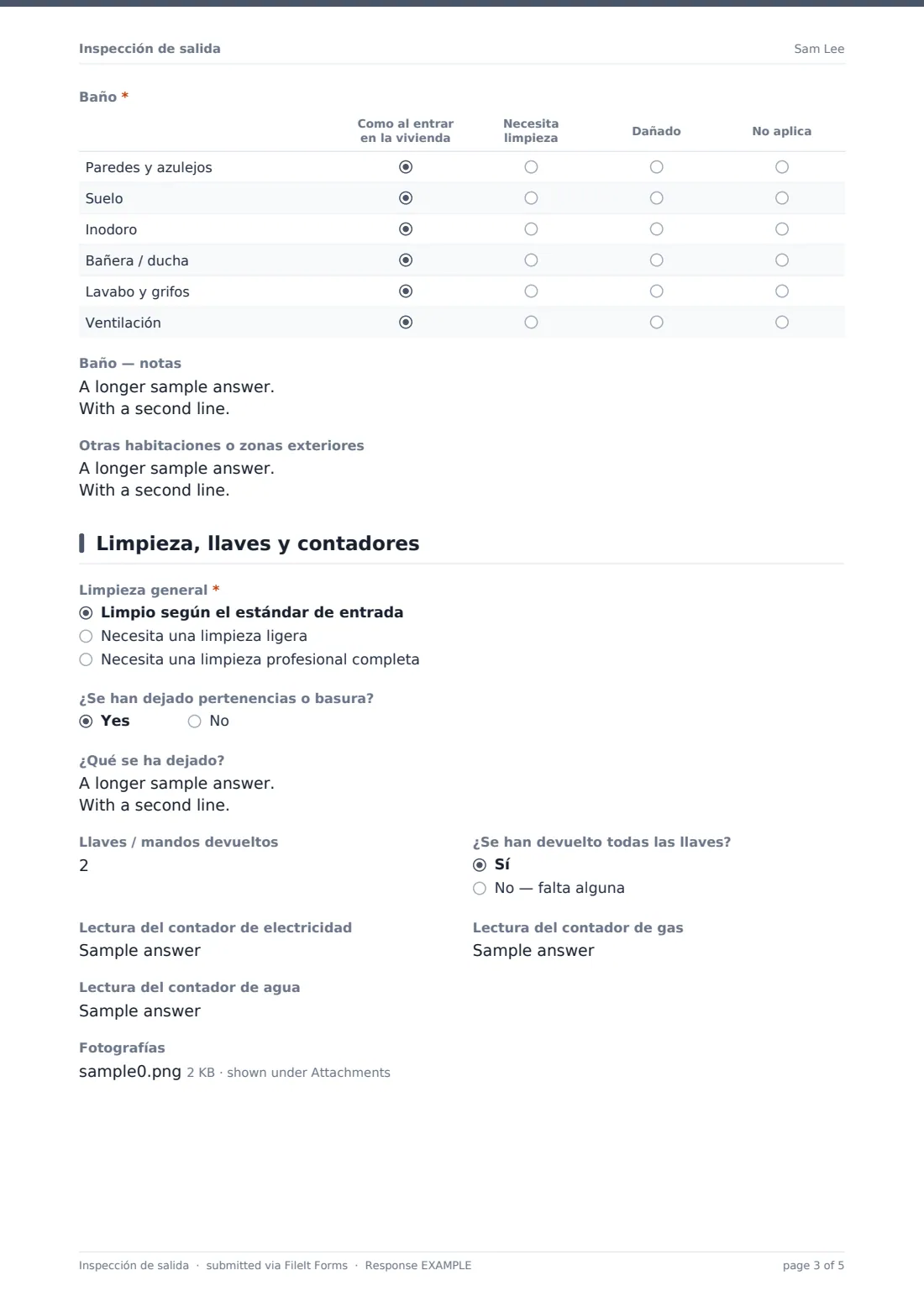 Inspección de salida — PDF de respuesta de ejemplo, página 3 de 5