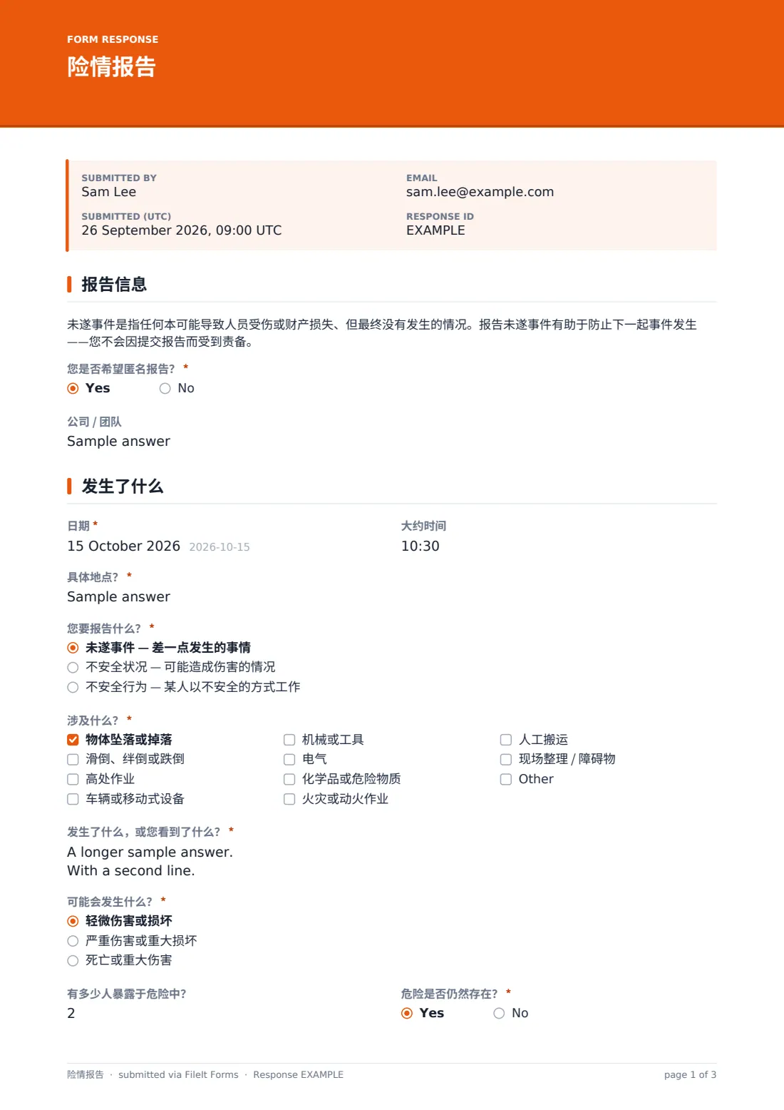 险情报告 — 示例回复 PDF，第 1 页，共 3 页