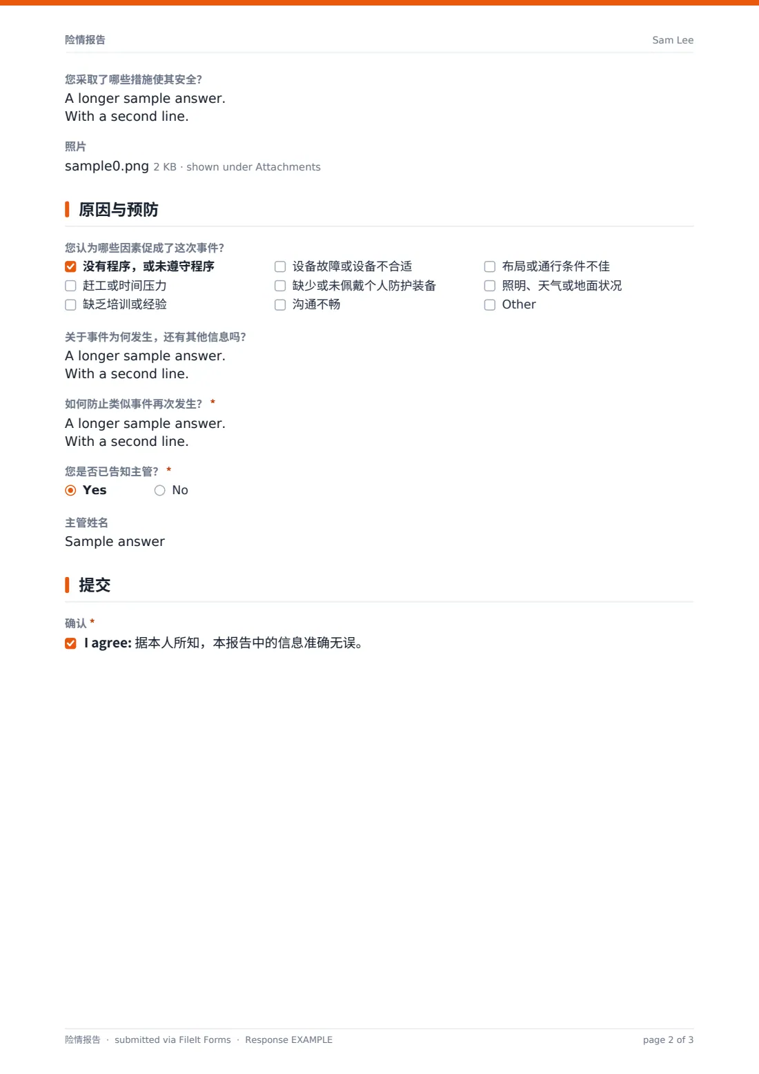 险情报告 — 示例回复 PDF，第 2 页，共 3 页