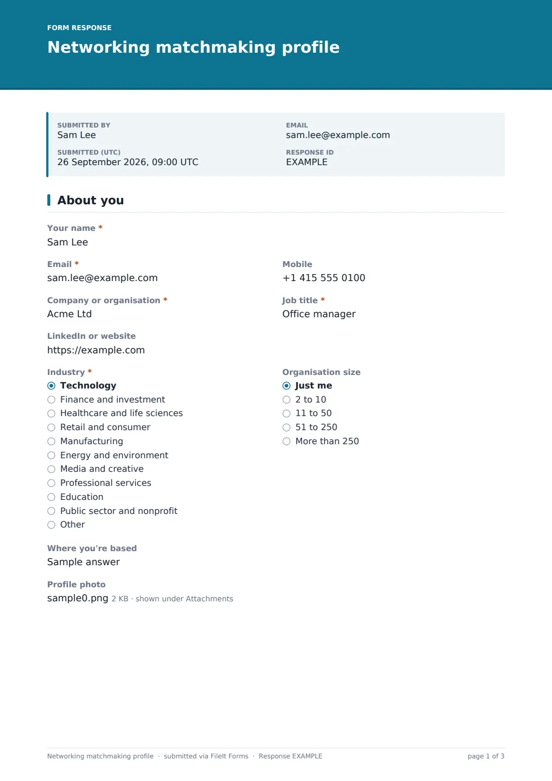 Networking matchmaking profile — example response PDF, page 1 of 3