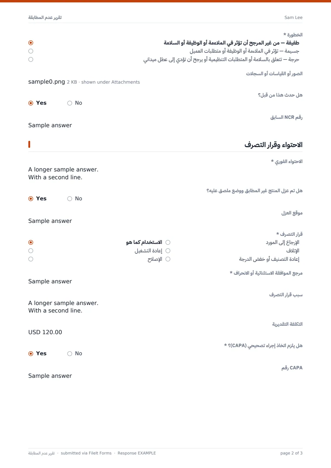 تقرير عدم المطابقة — ملف PDF لرد نموذجي، الصفحة 2 من 3