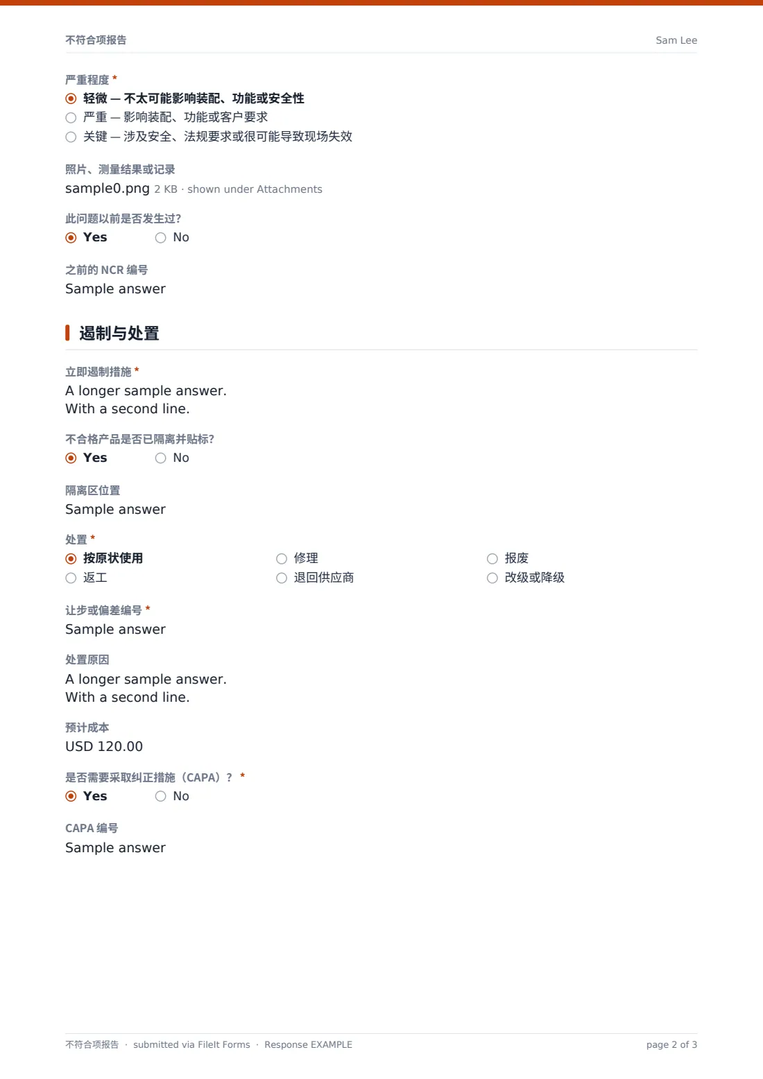 不符合项报告 — 示例回复 PDF，第 2 页，共 3 页