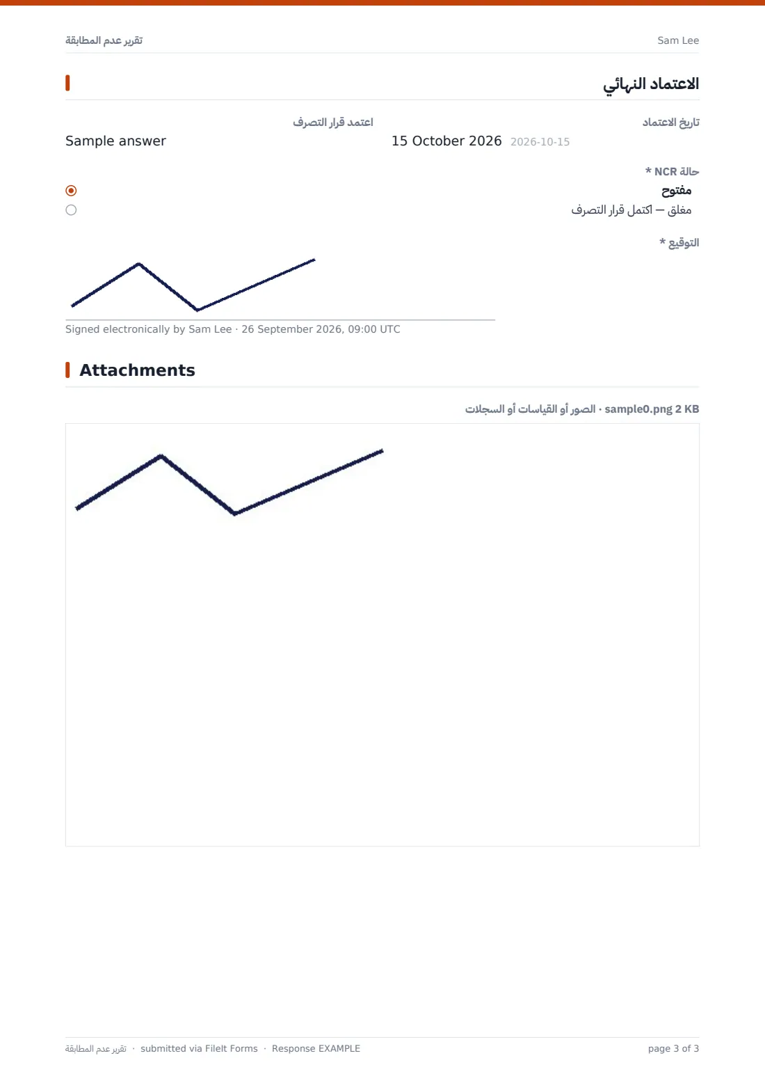 تقرير عدم المطابقة — ملف PDF لرد نموذجي، الصفحة 3 من 3