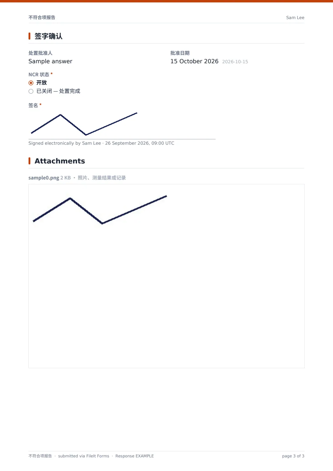 不符合项报告 — 示例回复 PDF，第 3 页，共 3 页