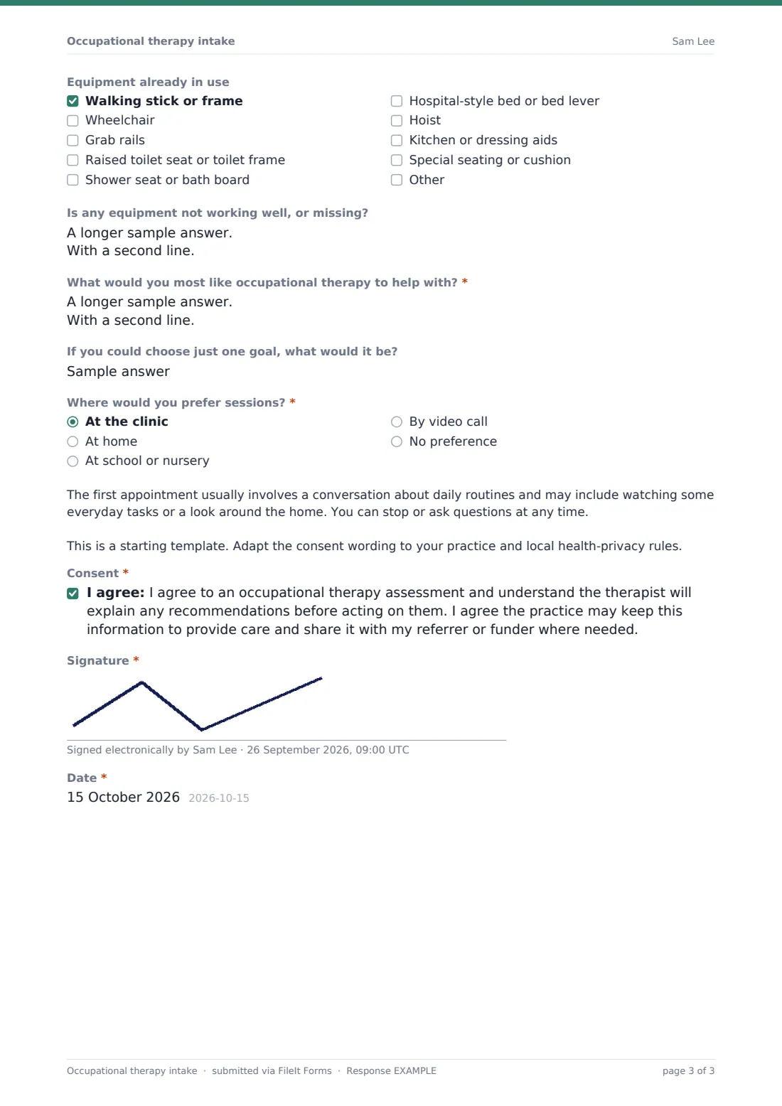 Occupational therapy intake — example response PDF, page 3 of 3