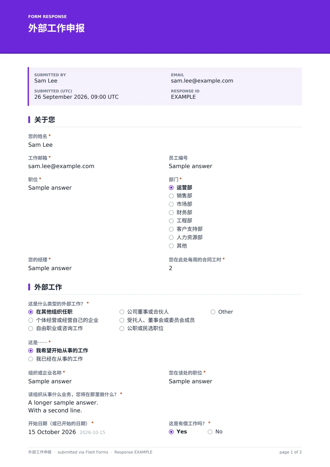 外部工作申报 — 示例回复 PDF，第 1 页，共 3 页
