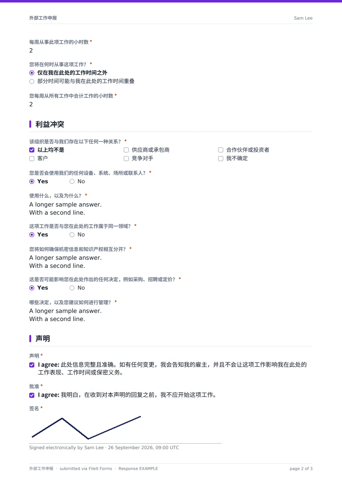 外部工作申报 — 示例回复 PDF，第 2 页，共 3 页