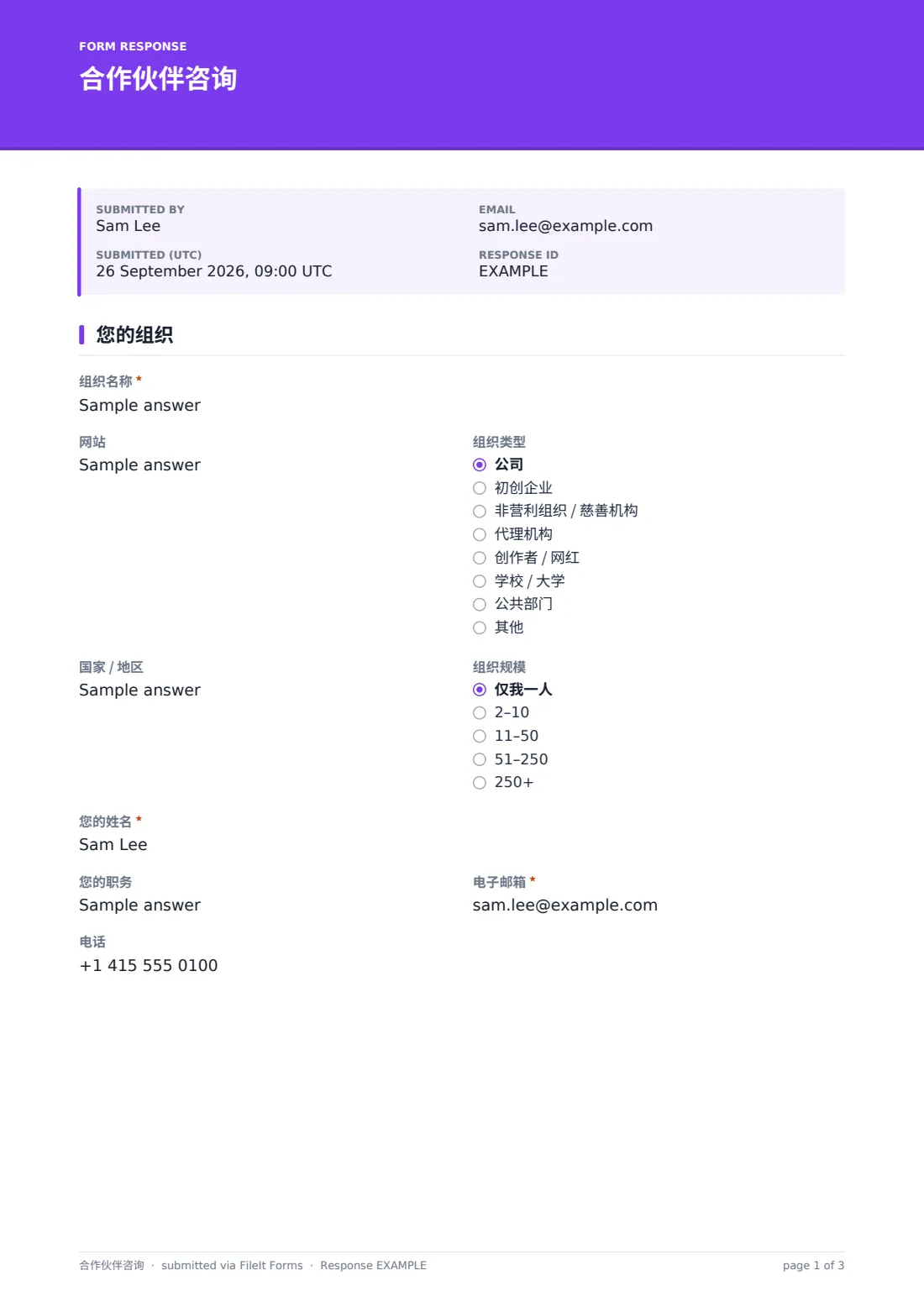 合作伙伴咨询 — 示例回复 PDF，第 1 页，共 3 页