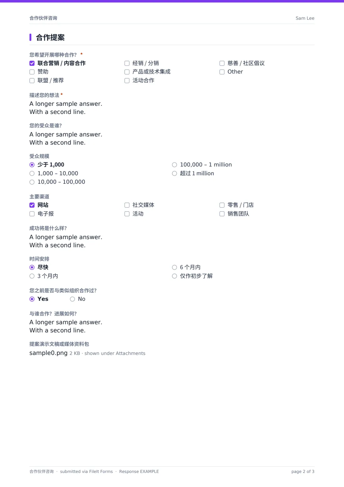 合作伙伴咨询 — 示例回复 PDF，第 2 页，共 3 页