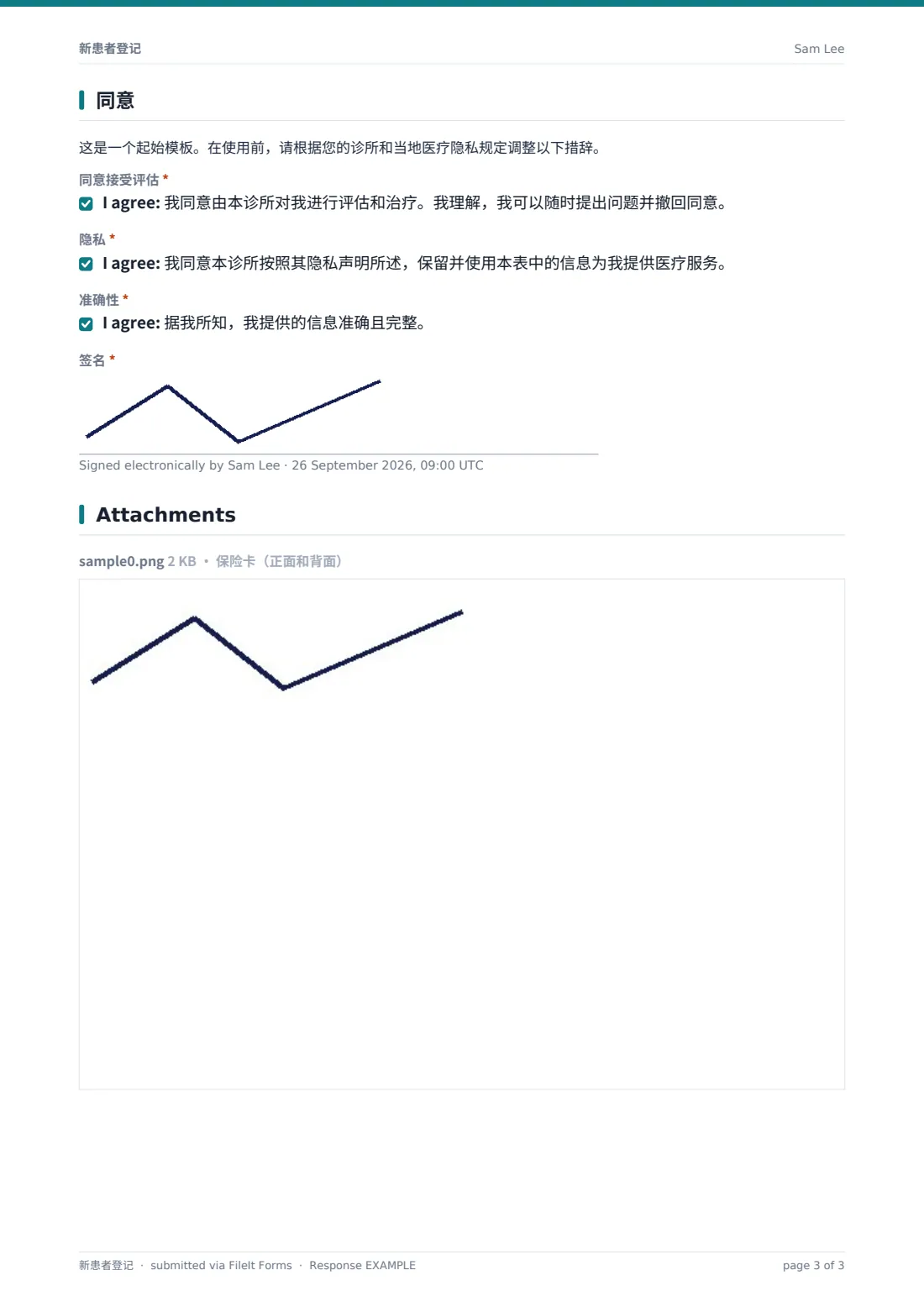 新患者登记 — 示例回复 PDF，第 3 页，共 3 页